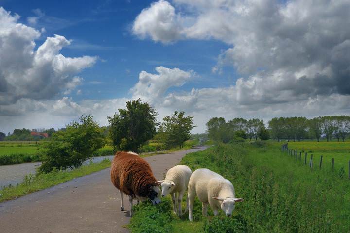 A spring day in my region.