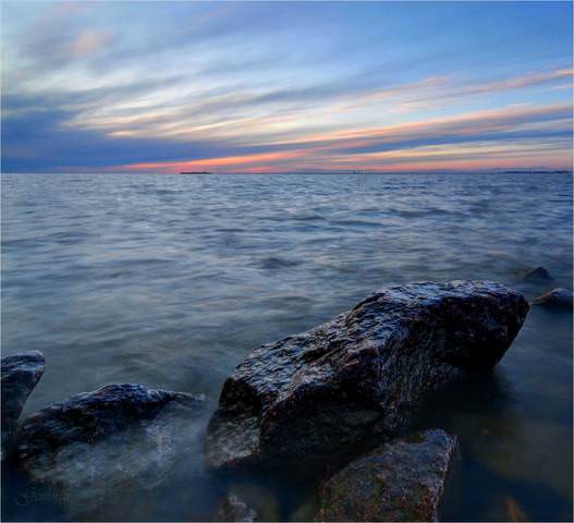 DSC_9498_ copy