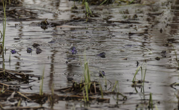 # 4