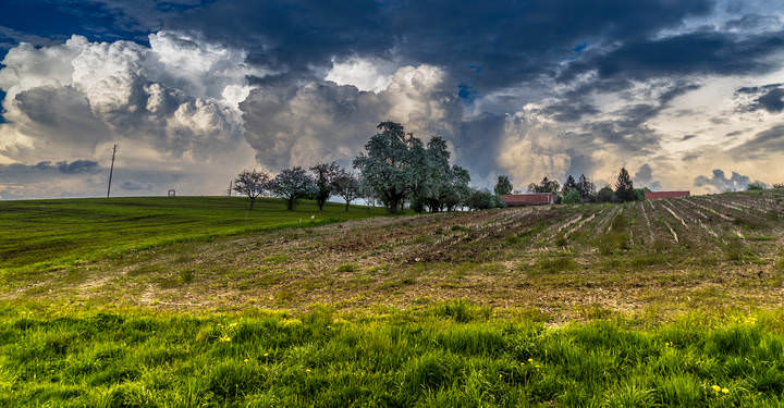 Before the storm