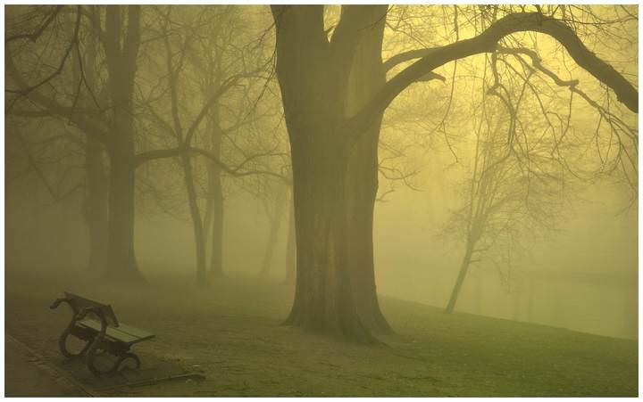 Walking in the fog.