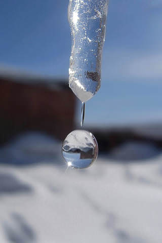 Весенний звон..... кап-кап....
