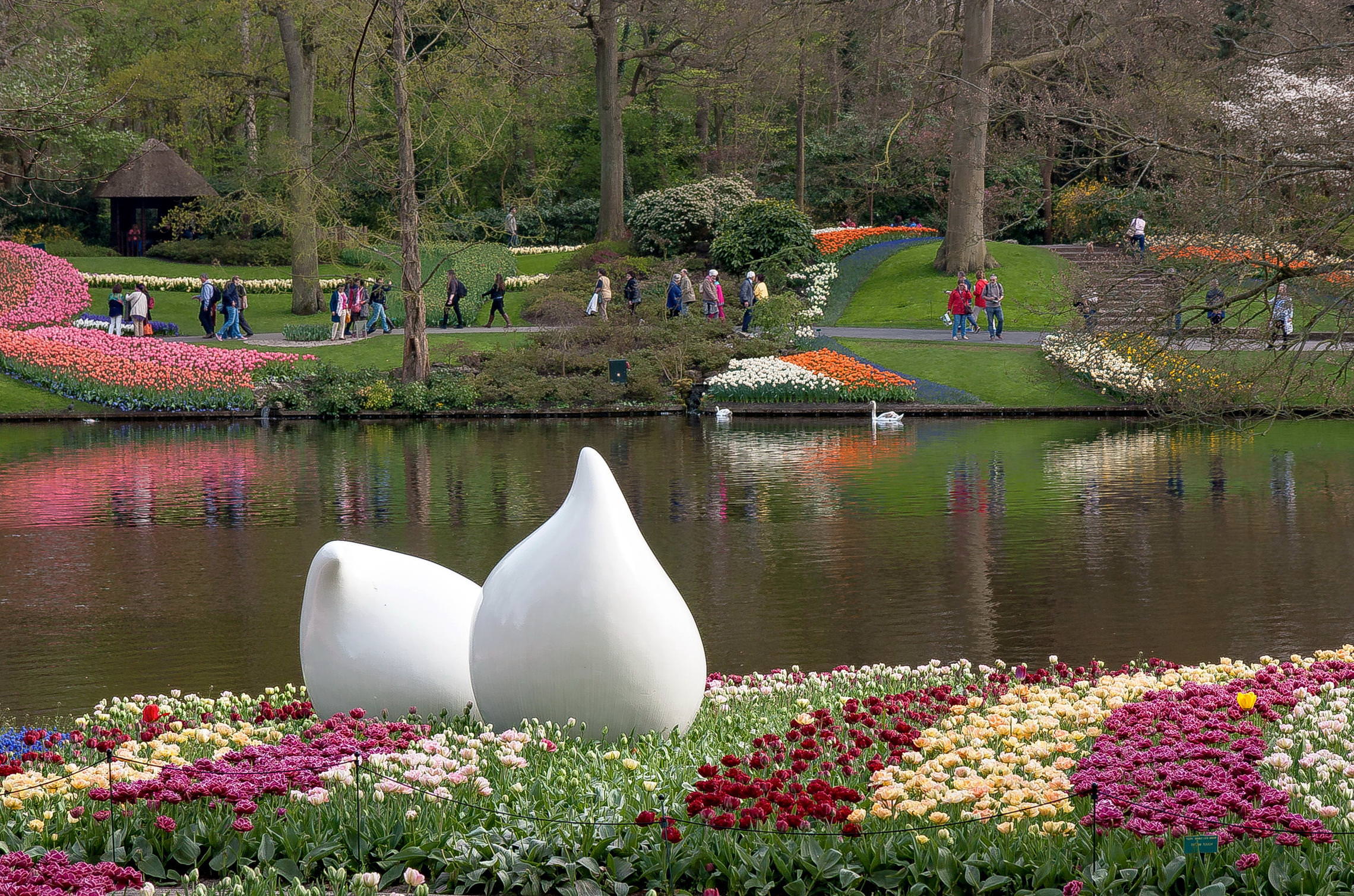 Tulips in Holland 04-2015