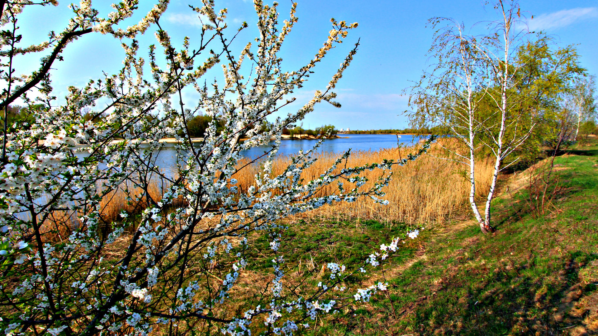 Весной возле озера