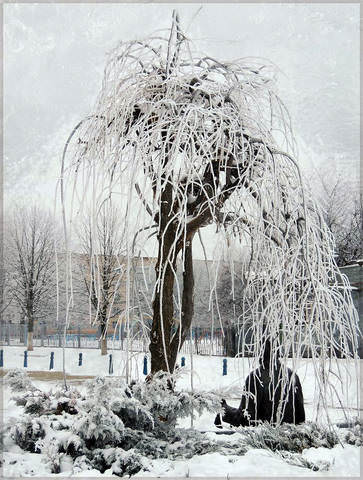 Зимние зарисовки