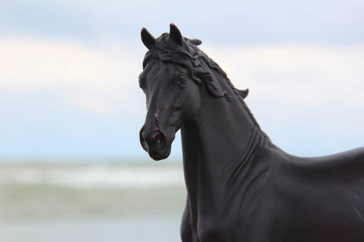 На берегу моря