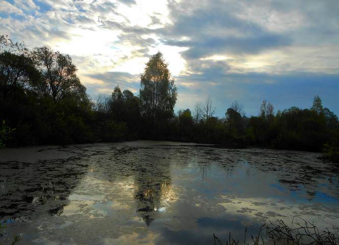 DSCN3677