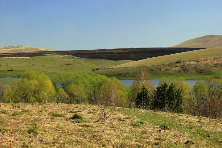 По пути в Горный Алтай