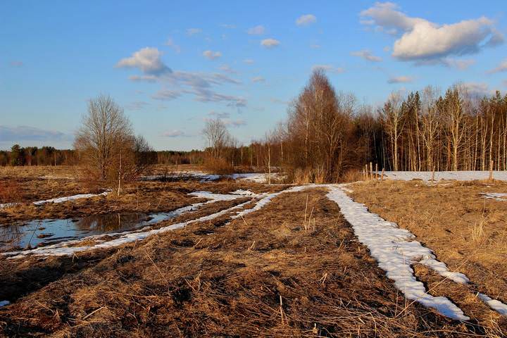 Прошли дожди, апрель теплеет.