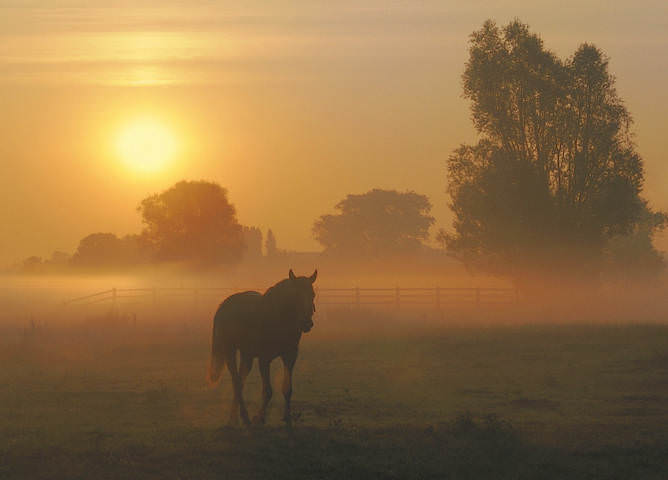 A mysterious morning.