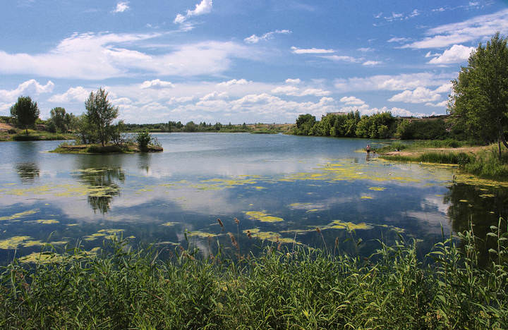 Заросший старый сельский пруд