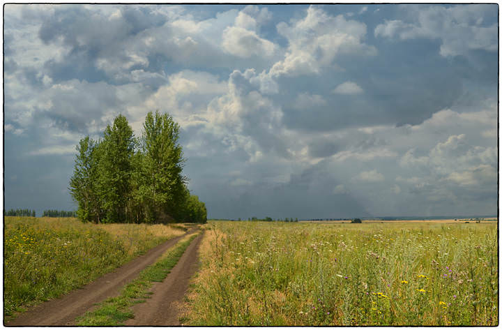 Перед грозой