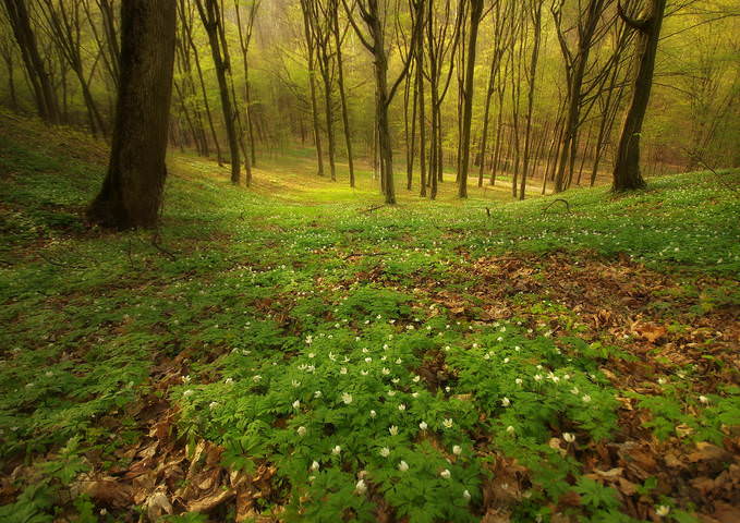 Весна