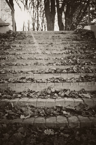 # 6