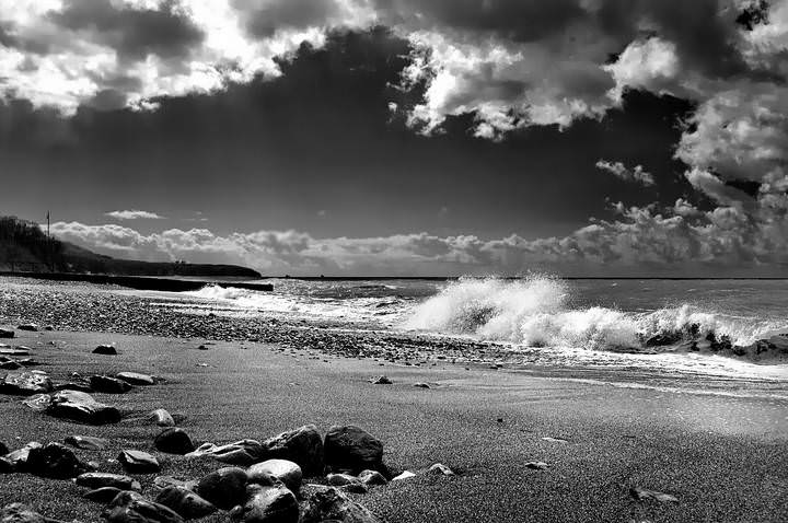 DSC_0031-1