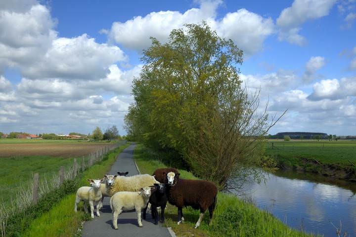 A beautiful spring day.
