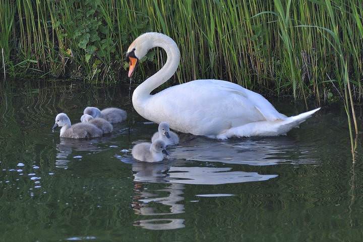 A proud mother.