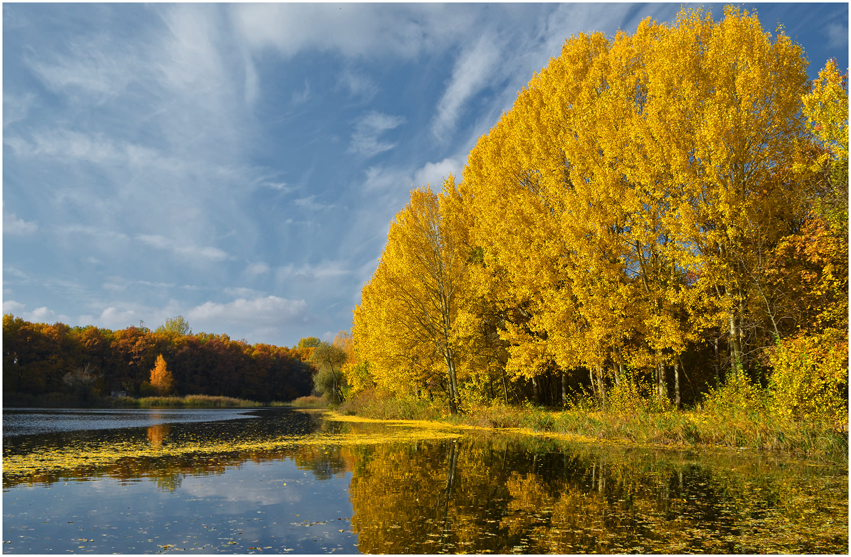 Курская область осень природа
