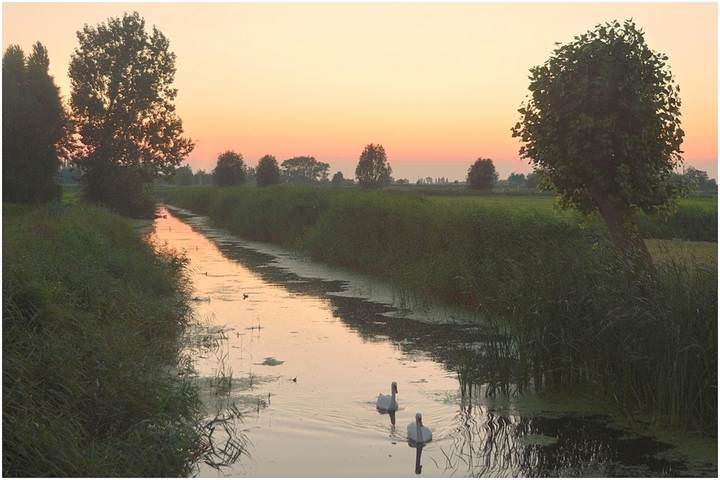 just after the sunset.