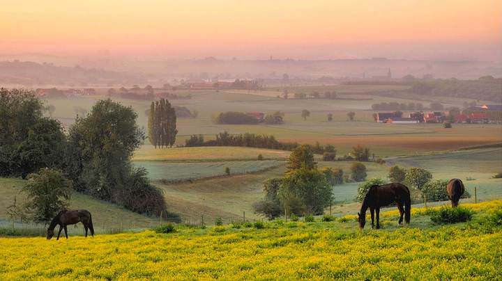 A colorful morning.