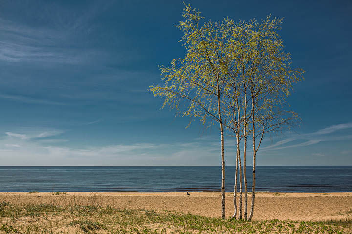 Saulkrasti 090515