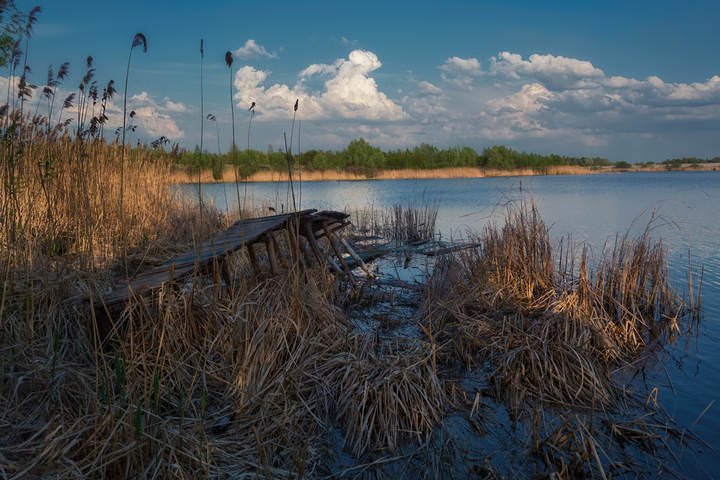 DSC_5913 копия