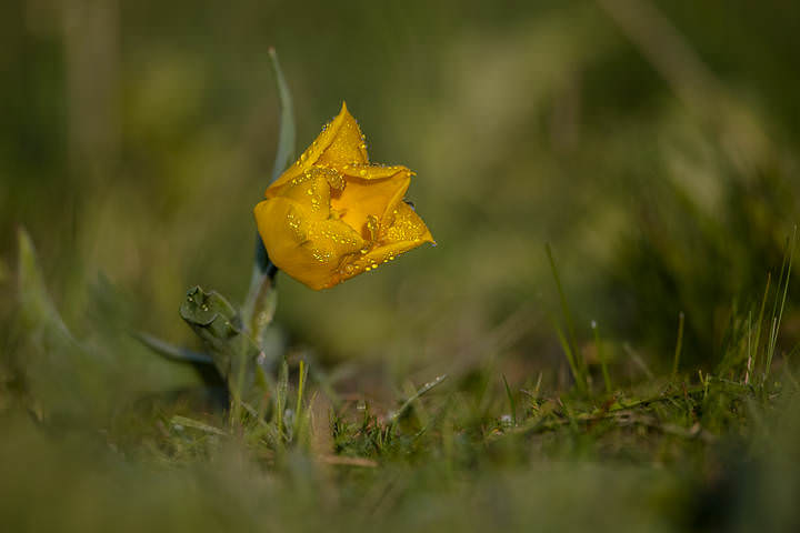 DSC_4022.jpg сжат