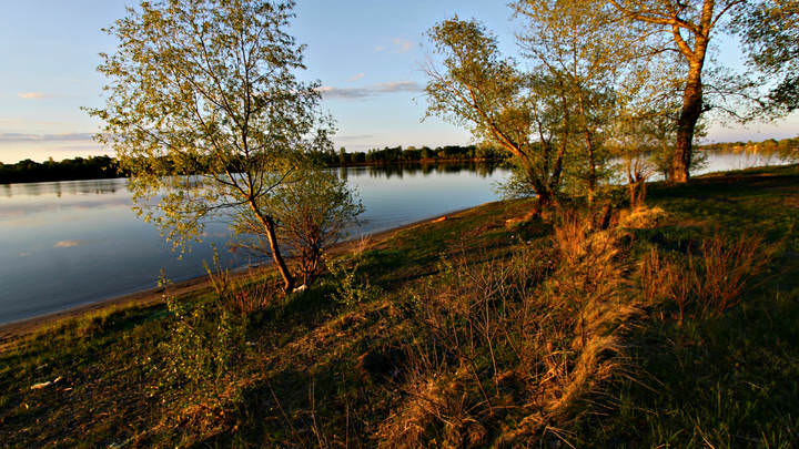 На берегу реки
