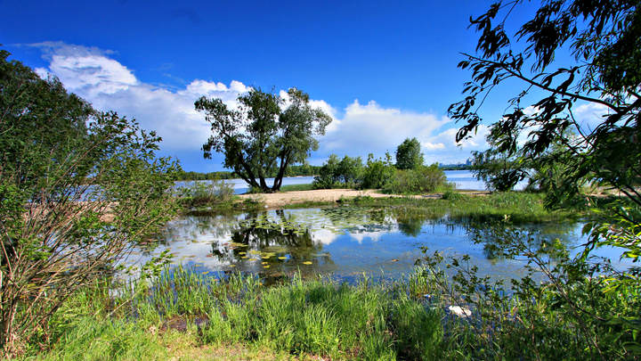 Рыбное место