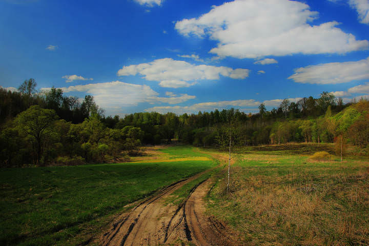 Дорога