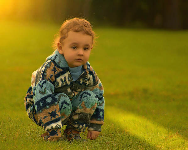 Ловчий зайчиков