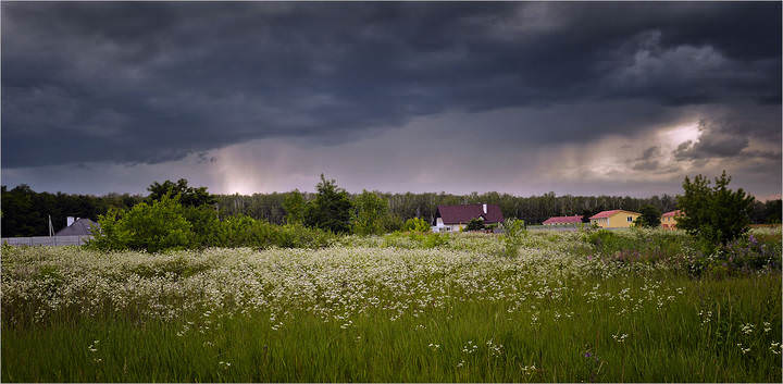 перед ливнем