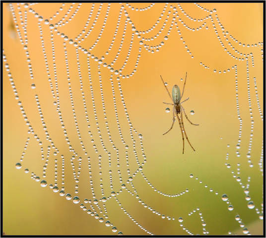 # 6
