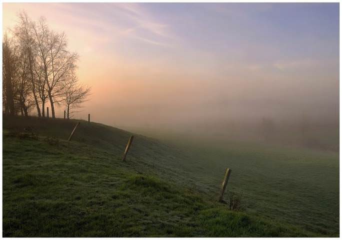 Colors of the morning.