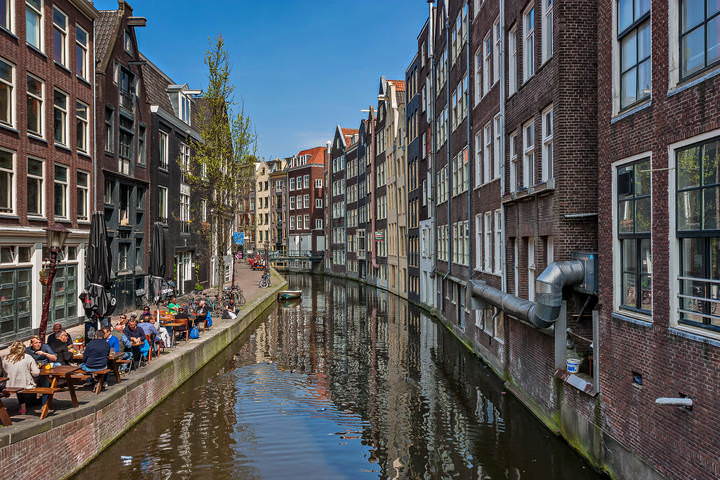 Tulips in Holland 04-2015 Amsterdam 2
