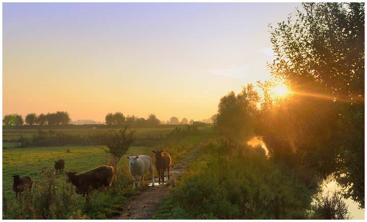 A summer morning.