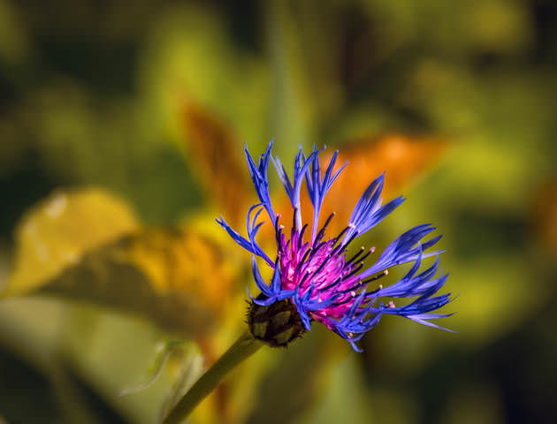 DSC_7608 копия