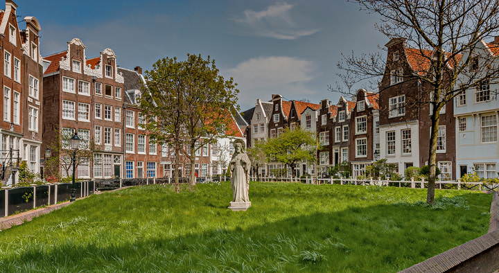 Tulips in Holland 04-2015 Amsterdam 3