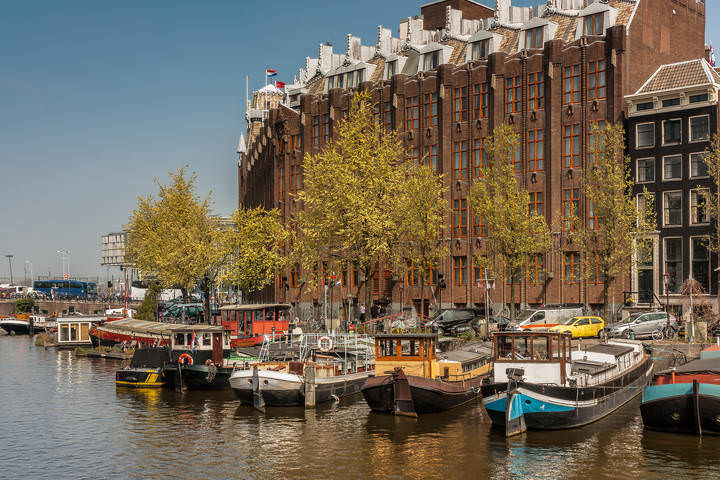 Tulips in Holland 04-2015 Amsterdam 4