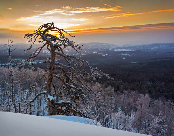Председатель