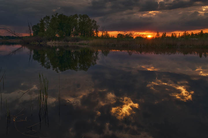DSC_6199 копия