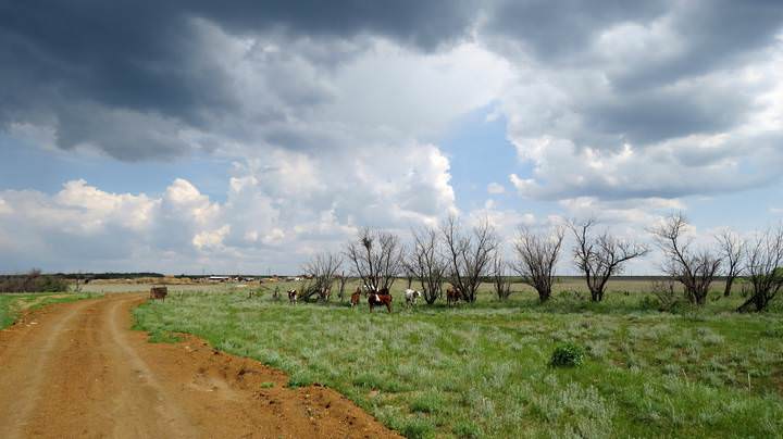 # 2
