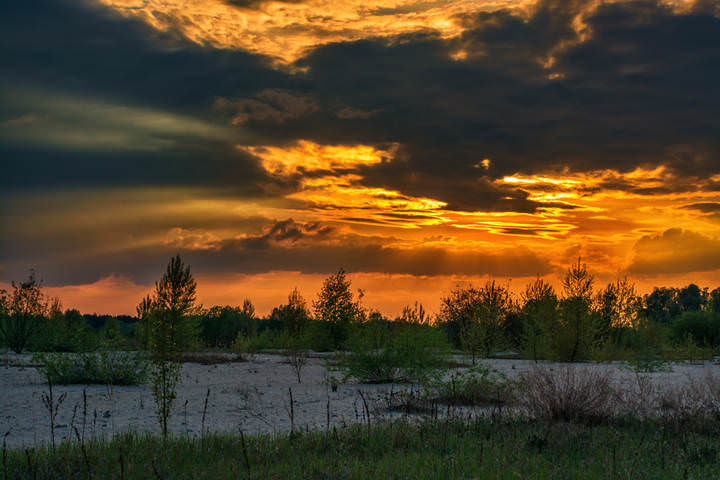 DSC_6107 копия