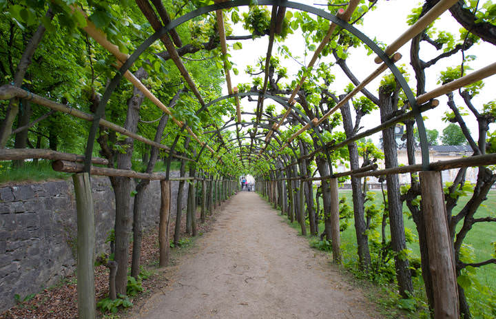 Знаменитые достопримечательности Потсдама