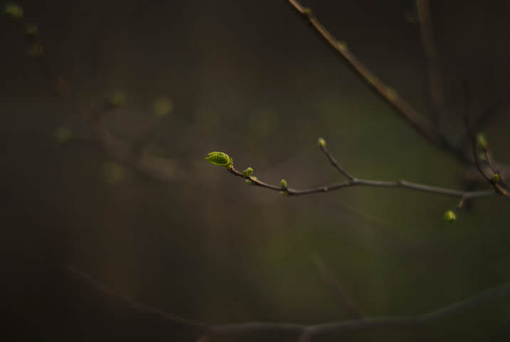 *****