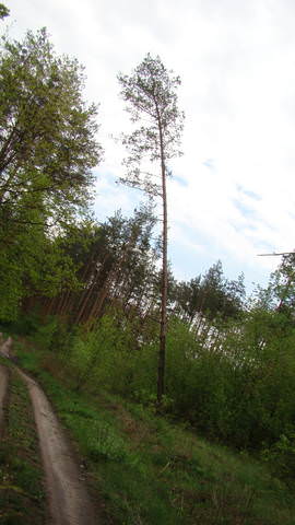 DSC00614