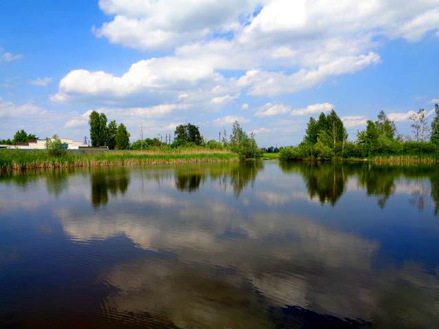 DSC03809