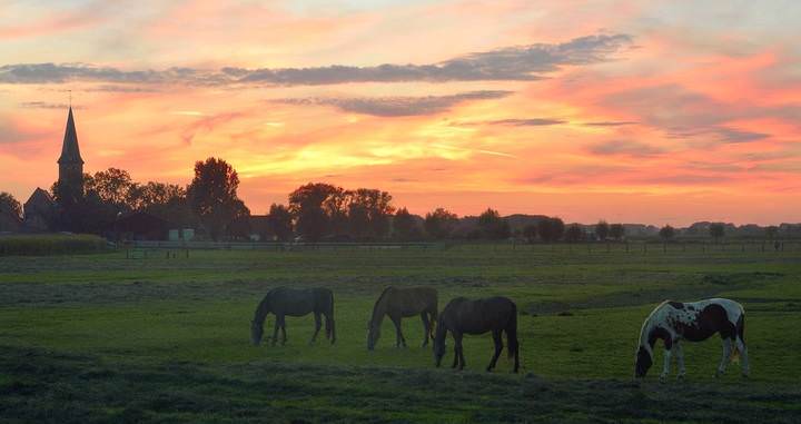 Evening in Noordschote.