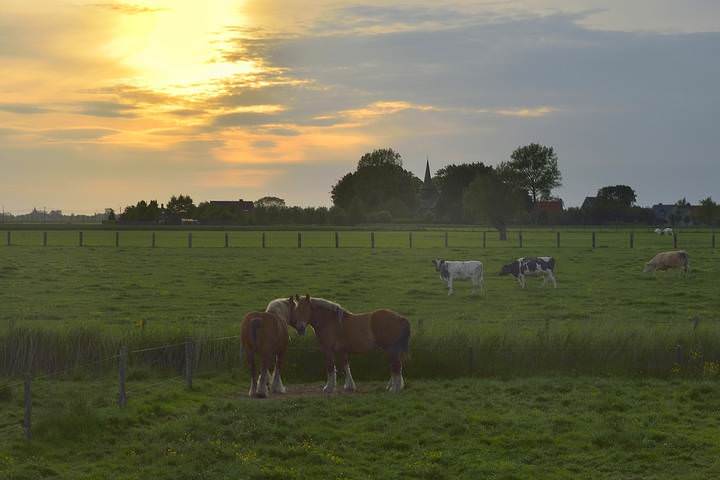 Yesterday evening.