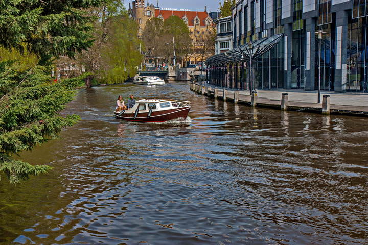 Tulips in Holland 04-2015 Amsterdam 7